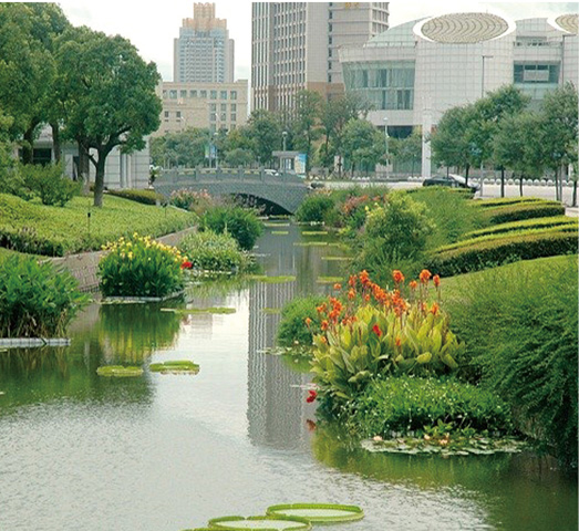 河道生態系統構建技術